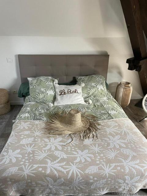 Apartament Le Bali Besançon Zewnętrze zdjęcie